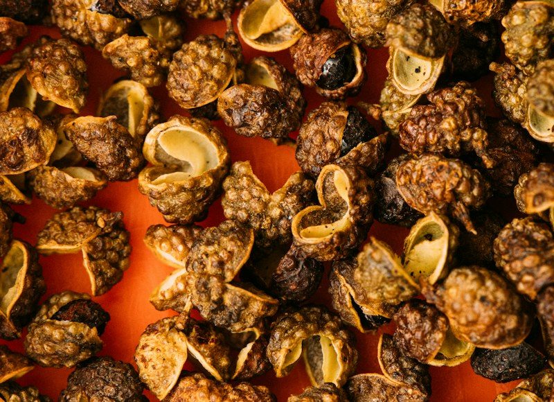 Timur — Nepali Sichuan pepper